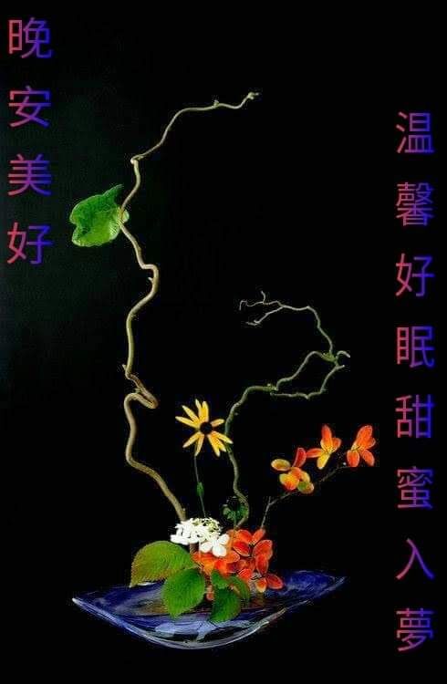 2025年最新免費晚安圖下載，幫助你放鬆身心的專屬LINE晚安問候圖