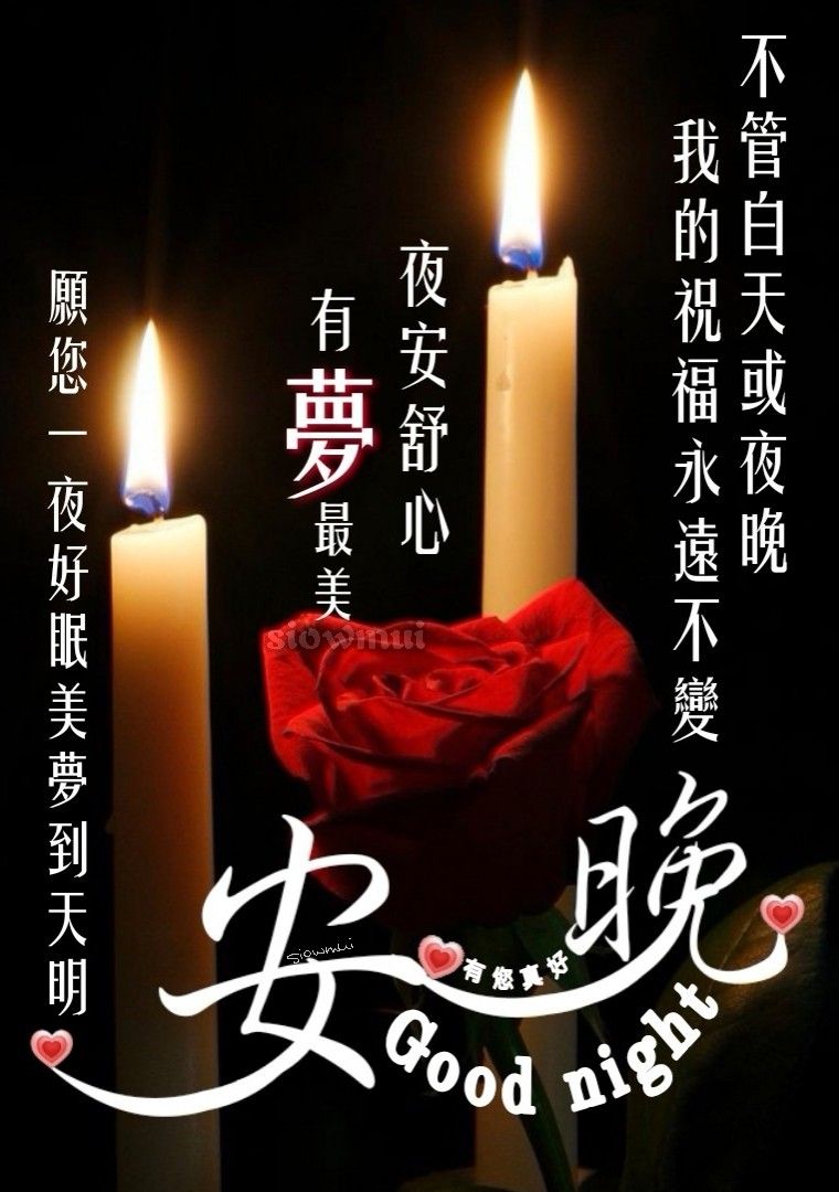 2026年最新免費晚安圖下載，幫助你放鬆身心的專屬LINE晚安問候圖